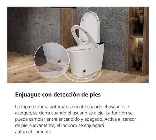 Inodoro Inteligente, Descarga Automática, Inodoro Japonés