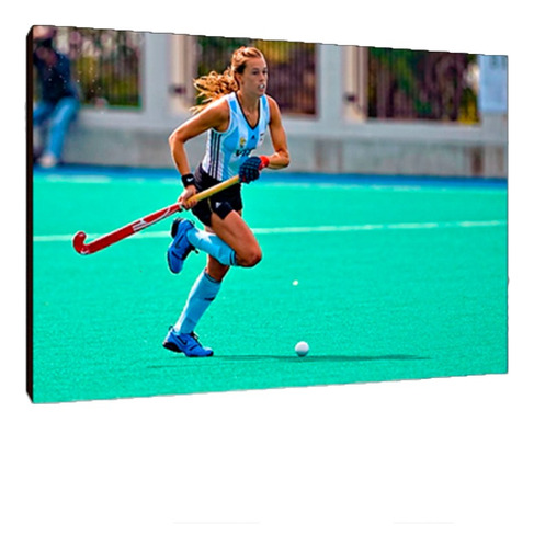 Cuadros Poster Deportes Hockey Leonas Xl 33x48 (crh (1))