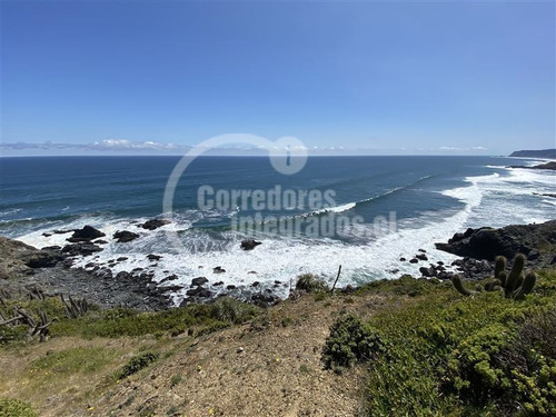 Imagen 8 de 14 de Sitio En Venta En Pichilemu