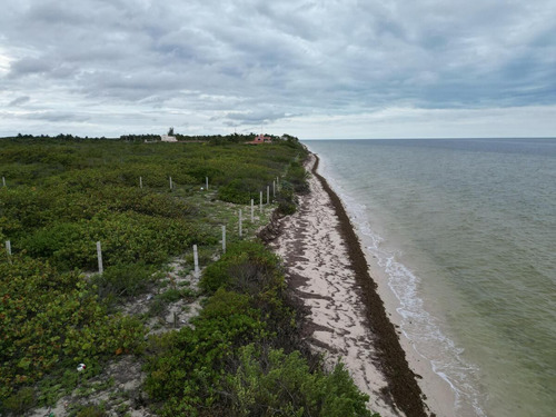 Terreno En Venta, Frente A Playa En San Crisanto, Yucatán