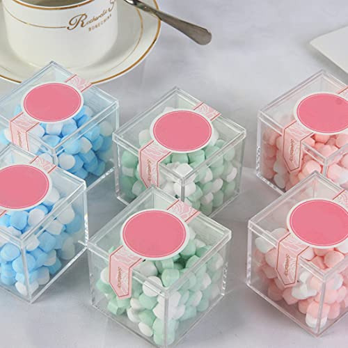 Caja Grande De Acrílico Transparente Con Tapa De 100x100x10