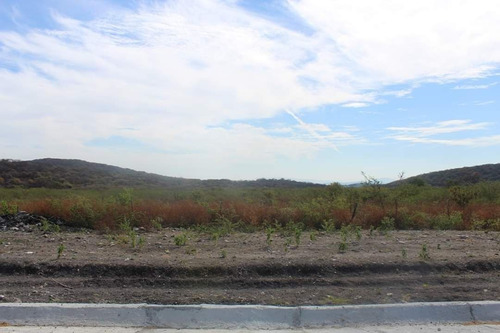 Imagen 5 de 5 de Terreno Sobre Carretera