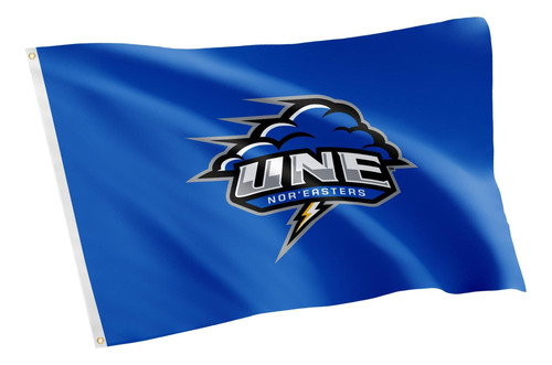 Bandera De La Universidad De Nueva Inglaterra De Desert De 3