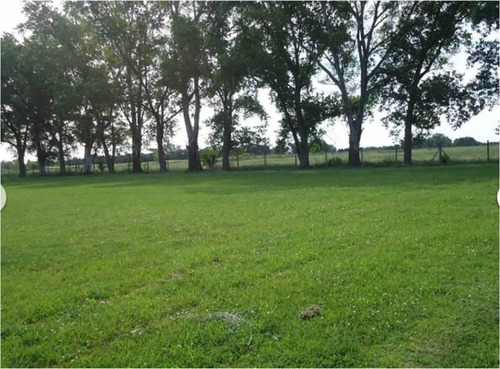 Imagen 5 de 8 de Terreno Lote En Venta En Los Palenques Cc, Pilar, G.b.a. Zona Norte