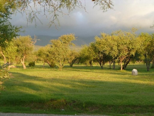 Imagen 2 de 8 de Ruta 14 Km 135