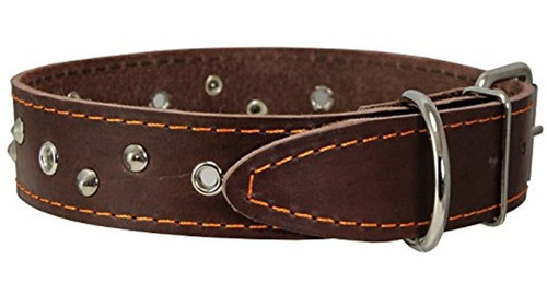 Perros Mi Amor Collar De Perro De Cuero Genuino Con Tachuela