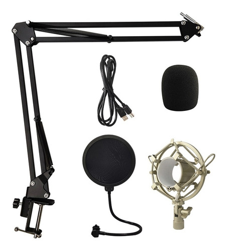 Imagen 8 de 10 de Kit Micrófono Condenser Usb Midiplus Usb800 Gris