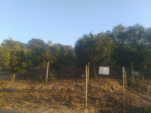 Chácara Com 4.000 Metros Quadrados