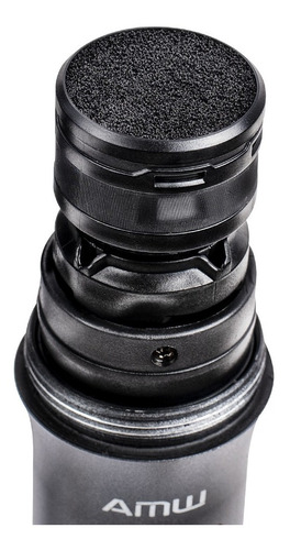 Microfone Sem Fio Duplo De Mão Amw Au300 Metal Uhf Digital