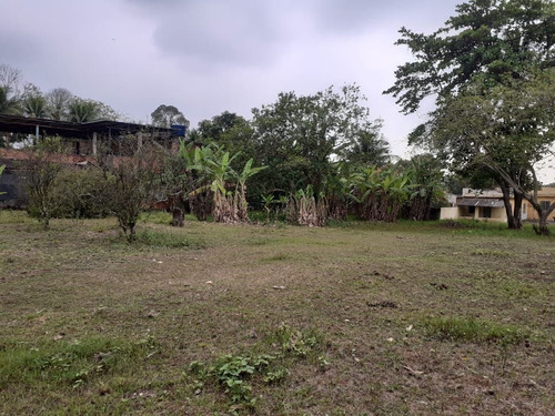 Imagem 26 de 30 de Chácara Em Parque Capivari, Duque De Caxias/rj De 3000m² 4 Quartos À Venda Por R$ 390.000,00 - Ch684259-s