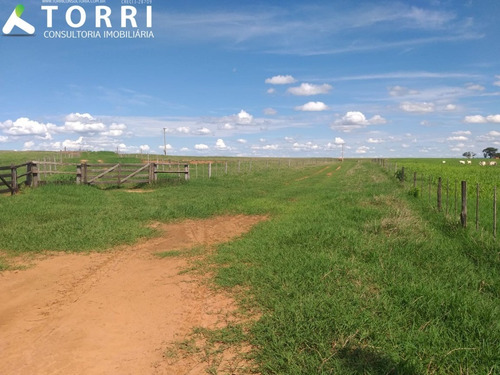Imagem 9 de 20 de Fazenda À Venda Em Alto Alegre - Fa00176 - 69382951