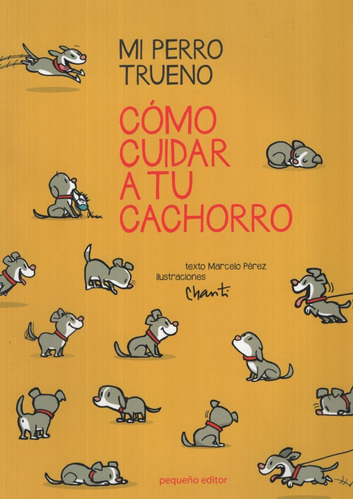 Mi Perro Trueno: Como Cuidar A Tu Mascota