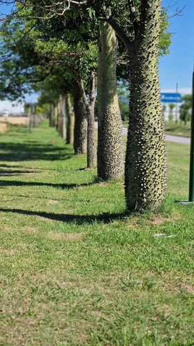 Parque Industrial Y Logistico Paraná De Las Palmas Zárate (pliz) Sector Pyme Zarate Predio 200 H. Lotes 5.000 / 10.000 Y 20.000 Metros Cuadrados Todos Los Servicios Cerca De Puerto Zarate