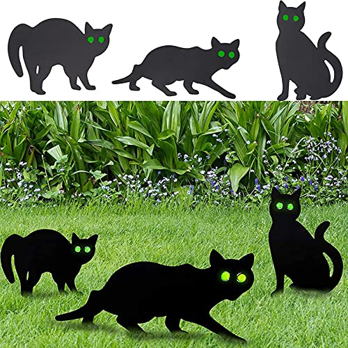 Carteles Para Patio Con Diseño De Gato Negro Para Halloween,