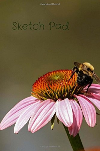 Sketch Pad Bumble Bee, 6 X 9 Sketchbook Journal, Blank Noteb