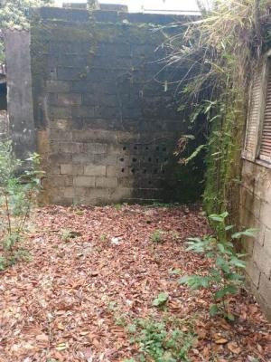 Chácara Com 2 Mil Metros E Árvore Frutífera Em Itanhaém Sp