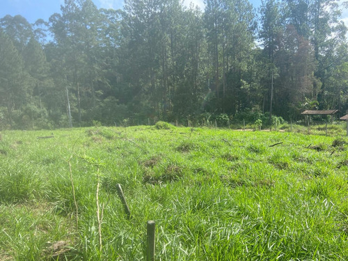 Terreno Plano, Boa Localização A 800 Mt De Asfalto, Iluminad