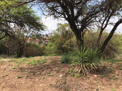 Imagen 11 de 12 de Terreno En Venta Cinco Lomas