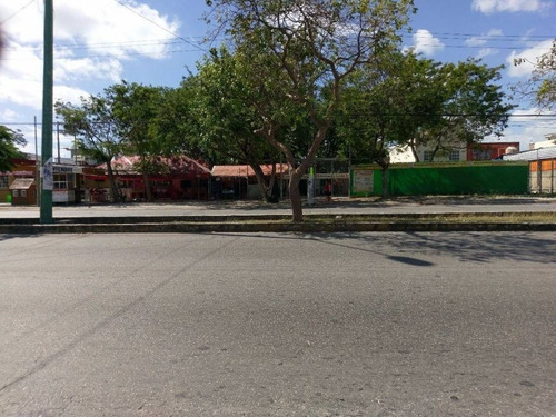 Imagen 16 de 16 de Excelente Terreno Comercial En Av. Nichupte Cancun C2339