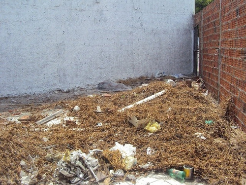 Imagem 2 de 2 de Terreno Para Alugar Na Cidade De Fortaleza-ce - L5618