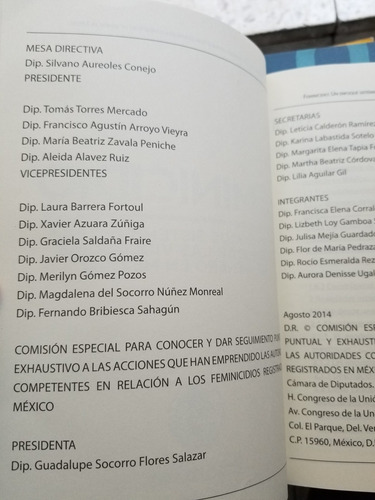 A0 Feminicidio Un Enfoque Sistémico, Camara De Diputados (Usado)