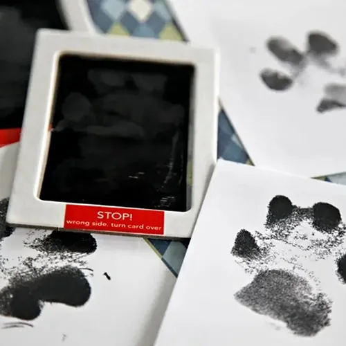 Kit De Tinta Con Estampado De Perros Para Mascotas, Huellas