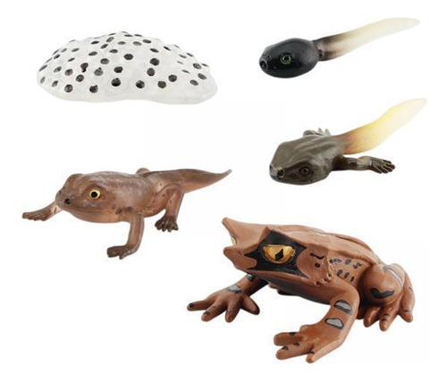 3 Figuritas De Animales Realistas Modelo De De Ranas Estilo