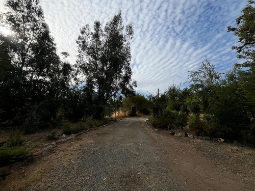 Parcela Con Casa Y Arboles Frutales Aculeo