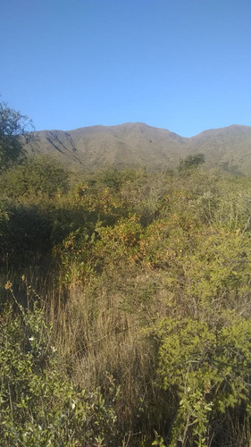 Se Vende Lotes Capilla Del Monte