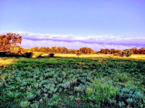 Imagen 17 de 19 de Excelente Campo En Chuchiras, San Javier