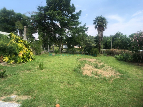 Imagen 20 de 29 de Colonia Del Sacramento - Casa A Refaccionar Con Buen Terreno