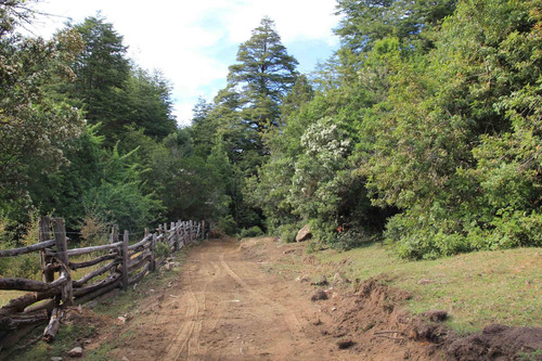 Campo De 326 Hectáreas En Llanada Grande, Cochamó.