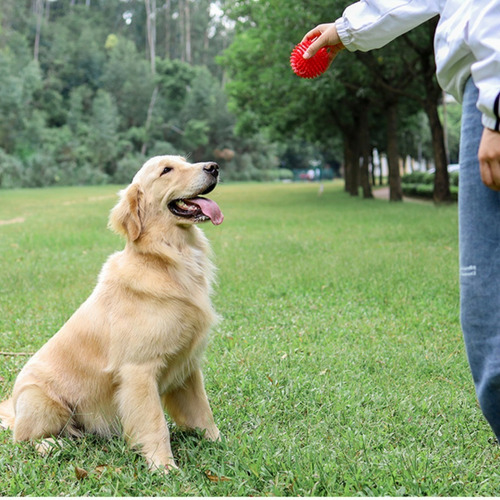 Imagen 4 de 6 de Juguete Pelota Mordedera Limpieza Dental Con Sonido Perro