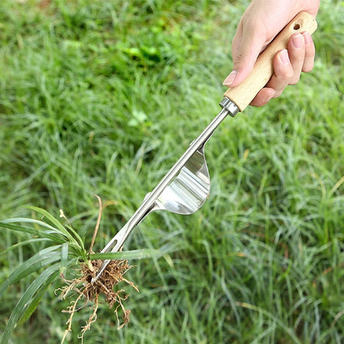 2 Piezas Herramienta Eliminación De Malas Hierbas De Jardín