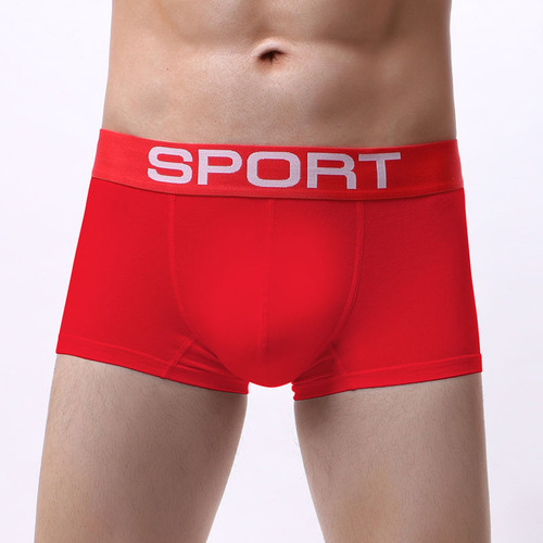 Ropa Interior De Cintura Baja Transpirable De Algodón De Alt