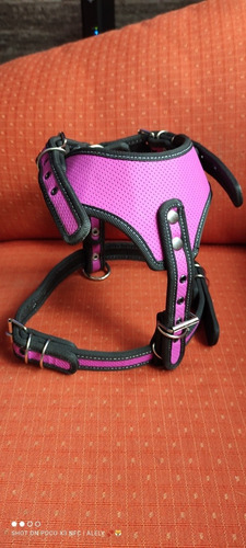 Pechera Arnés De Seguridad Para Perro Morada