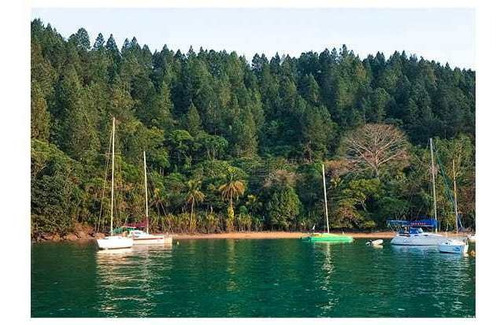 Área, Saco Da Ribeira, Ubatuba - R$ 3 Mi, Cod: 1265 - V1265