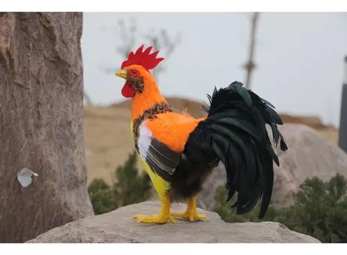 Modelo De Galo Realista Realista Jogo De De Animais Escultura De Fazenda  Engraçada Decoração De Aves Para Gramado Estatueta De Galo Arte Do Galo