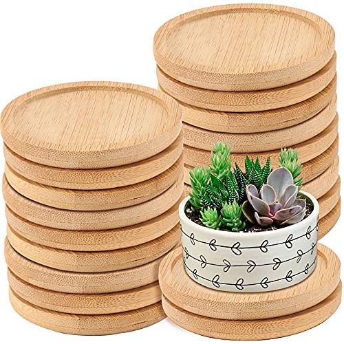 20 Pcs Bandejas De Bambú Plantas De 3 Pulgadas, Bandej...