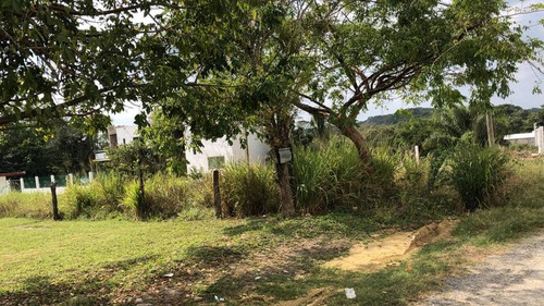 Venta Terreno 250 M² Col. Campestre Alborada Tuxpan Veracruz