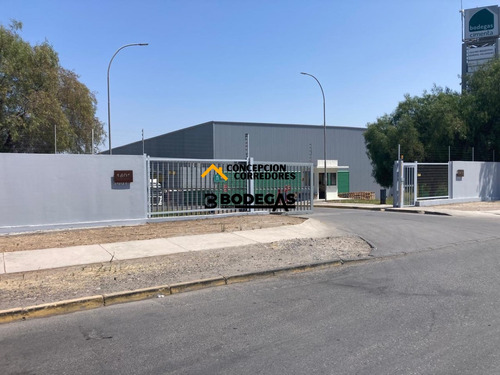 Arriendo Bodega De 777 M2 En Pi De San Bernardo.