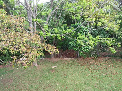 Chácara Pertinho Da Natureza
