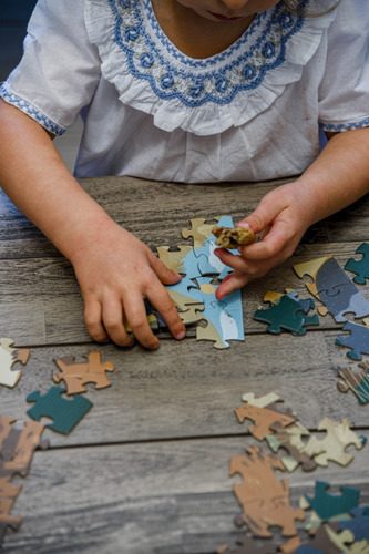 Imagen 4 de 5 de Puzzle 100 Piezas Para Niños Zorro Animales Típicos Chilenos