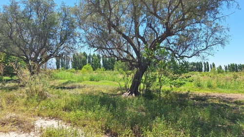 Finca-terreno En Venta En Guaymallén Pozo Surgente De Agua Apta Para Consumo