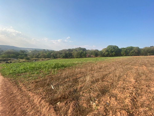 Imagem 7 de 12 de O48- Lote Á Venda Em Atibaia Plaino