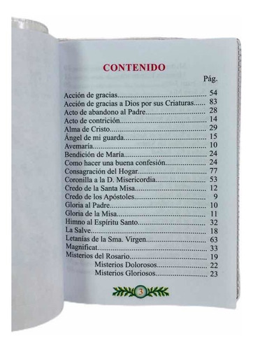 Mis Oraciones. Libro Católico De Oraciones