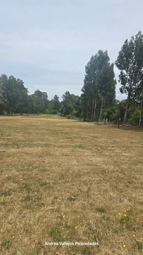Parcela Plana, Soñada! Sector Tres Esquinas Lautaro