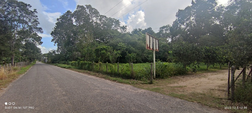 Venta De Terreno, Ideal Para Quinta, Fraccionamiento, Siembr