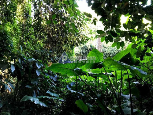 Imagem 17 de 17 de Terreno No Cosme Velho - 12131