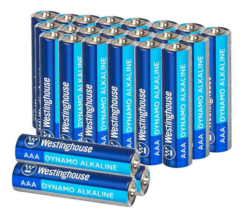 Alkaline Aaa Batteries (bulk Pack 24 Count), Leakproof ...